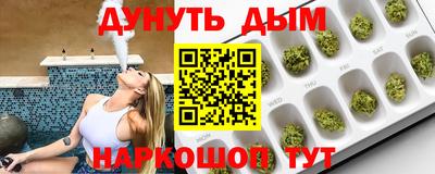 сатива Апшеронск