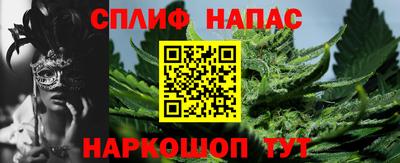 сатива Апшеронск